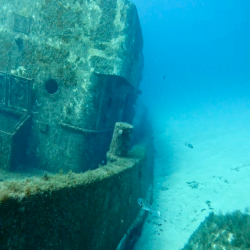 main-26